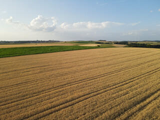 Aerial view of a grain field in the countryside 