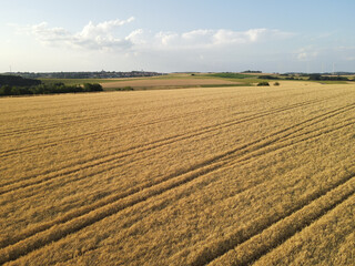 Aerial view of a countryside with ripe crop field in summer 