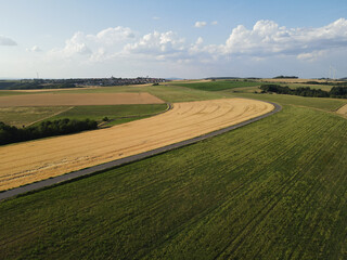 Naklejka premium Landscape with crop fields and a road in summer 