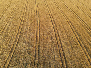 Ripe crop field in summer from above 