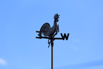 rooster on the roof
