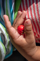 Hawthorn: A Symbol of Love and Protection. (selective focus)