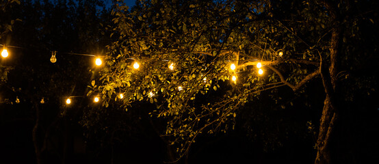 String garden lights on trees summer evening background