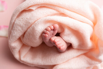 newborn's legs. legs on a peach background. baby feet
