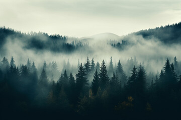 A serene mist-engulfed forest in November background with empty space for text 