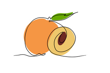 illustration of an apricot with leaves