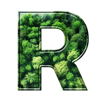 Green ALPHABETS AND NUMBERS