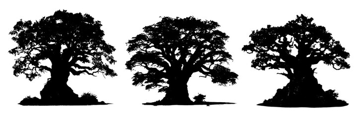 tree silhouette. black and white tree. black and white silhouettes of trees with clipping path