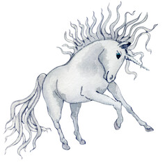 Unicoorn on white background. Unicorn dragon. Fantasy illustration. Fairy tale. Walercolor illustration