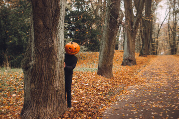 Halloween. Pumpkinhead. A man with a pumpkin on his head stands in a park on an alley strewn with yellow autumn leaves.