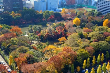 Fotobehang Koishikawa Korakuen Gardens in Tokyo © Tupungato