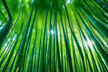 A dense bamboo forest with tall bamboo shoots reaching for the sky.