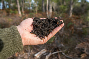 Female farmer hold soil in hands monitoring soil health on a farm in australia