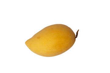 Ripe yellow mango isolated white background