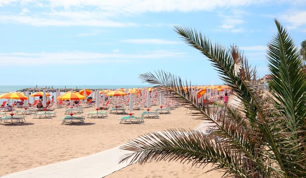 sunny beach with umbrellas deckchairs and palm tree