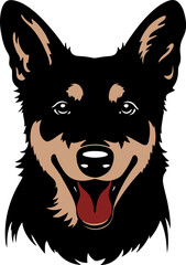 Queen triggerfish flat icon