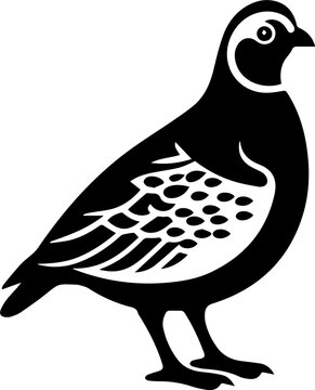 recommend clip art: Quail flat icon