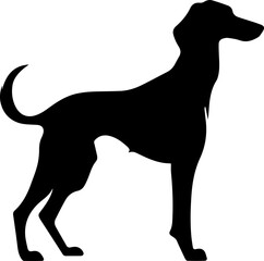 Saluki flat icon