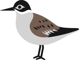 Sandpiper flat icon