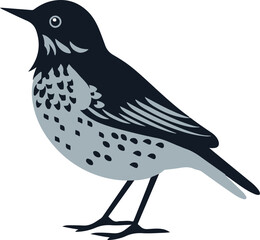 Song thrush flat icon