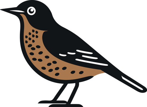 recommend clip art: Song thrush flat icon
