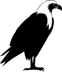 Vulture flat icon