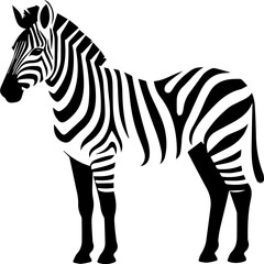 Zebra flat icon