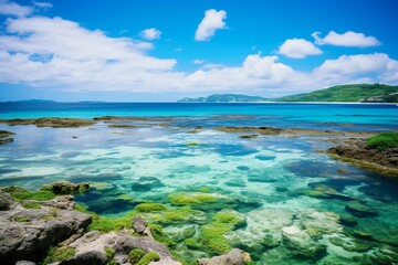 Fototapeta na wymiar 石垣島の海 | Ocean of Ishigaki Island Generative AI