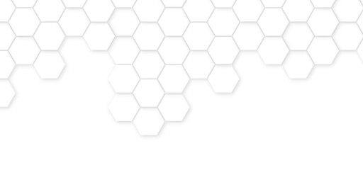 Abstract White Hexagonal Background. Luxury White Pattern. Vector Illustration. 3D Futuristic abstract honeycomb mosaic white background. geometric mesh cell texture.	