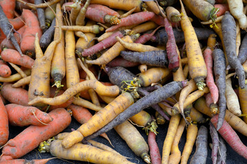 Fresh eco organic carrots for sale