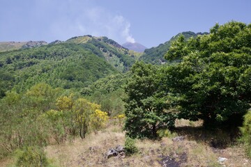 Etna national park panoramic view of volcanic landscape with crater, Catania, Sicily