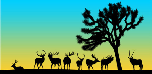 Fototapeta na wymiar ciervo, animal, silueta, árbol, naturaleza, vector