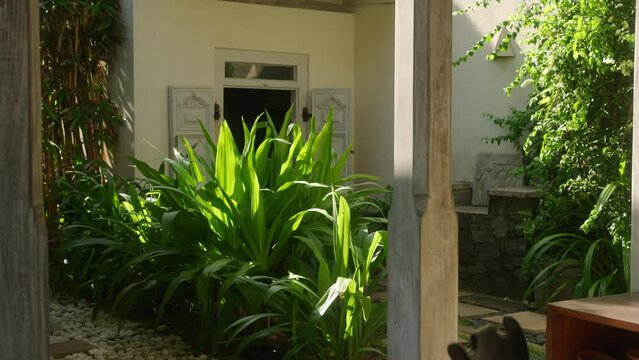 Evergreen fairytale garden with exotic bushes, flowers and trees in luxury retro villa in orange sunset rays of sun. Unusual plants in backyard of tropical island resort with house entrance.