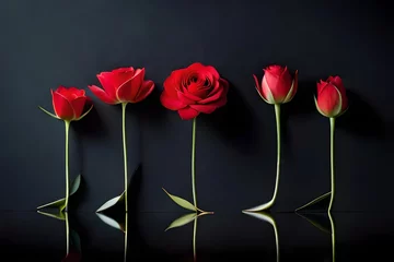 Keuken spatwand met foto red roses flowers in two lines with black background © Safdar