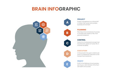 Vector Brain infographic Set. Template for human head diagram, graph, presentation, face chart. Business idea concept with 3, 4, 5, 6, 7, 8 options, parts, steps or processes. Brainstorming.