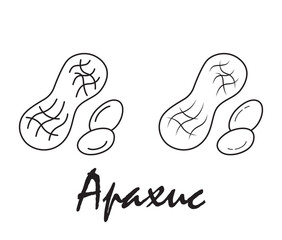 Badge peanut with the inscription 