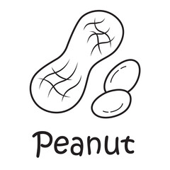Badge peanut with the inscription. Vector image, eps