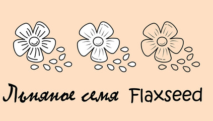 A set of objects depicting a flaxseed with the inscription "flaxseed" in Russian and English. Simple vector illustration, eps