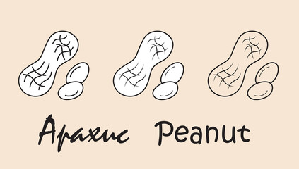 A set of objects depicting apeanut with the inscription "peanut" in Russian and English. Simple vector illustration, eps