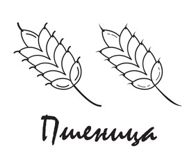 Fototapeta na wymiar Badge wheat with the inscription 
