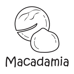 Badge macadamia with the inscription. Vector image, eps