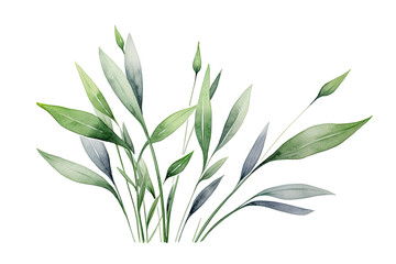 Fototapeta premium Watercolor Tropical spring branches floral green leaves and flowers elements set isolated on transparent background, bouquets greeting or wedding card invitation, decoration clip art mock up.