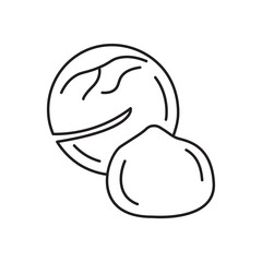 Black and white image of a macadamia. Vector image, eps