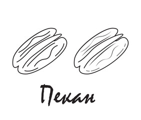 Badge pecan with the inscription "pecan" in Russian. Vector, eps