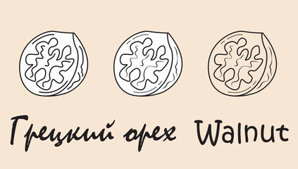 A set of objects depicting a walnut with the inscription "walnut" in Russian and English. Simple vector illustration, eps