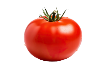 Red Fresh Tomato with water drops isolated on transparent background, ripe tropical natural fruit concept, Healthy food with high of vitamin and minerals. Freshness of juicy fruit.