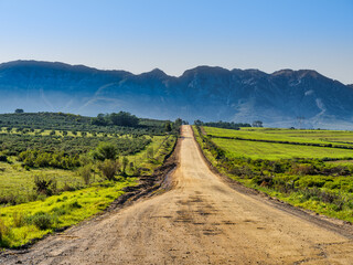 Gravel 4x4 road through lush valley and Winterhoek Mountain in the background, Wolseley, Western Cape, South Africa