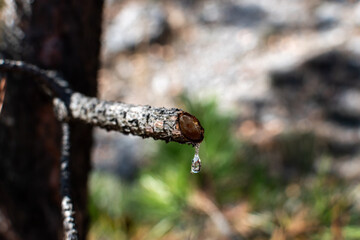 Una gota de resina