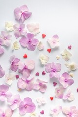 Pattern from flowers of pink hydrangea on a white background. Flat lay and cosmetic background, top view. Vertical photo
