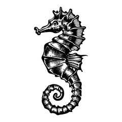seahorse animal illustration - obrazy, fototapety, plakaty